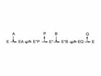 Ping–pong mechanism for an enzyme rea...