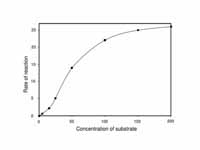 Saturation curve for an enzyme reacti...