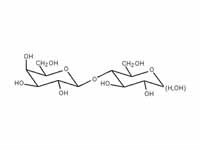 Lactose conformation