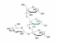 Inulin, an oligosaccharide.