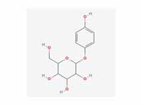 Arbutin, a simple glycoside