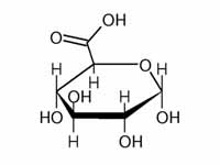 Glucuronic acid structure