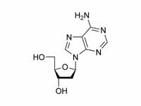 Deoxyadenosine chemical structure