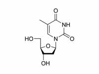 (Thymidine) Deoxythymidine chemical s...
