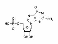 Guanosine monophosphate chemical stru...