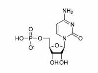 Cytidine monophosphate chemical struc...