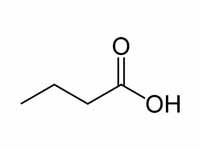 Butyric acid structure