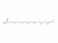 Docosahexaenoic acid structure