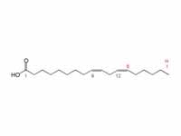 Linoleic acid structure