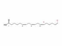 gamma-Linolenic acid structure