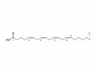 Arachidonic acid structure