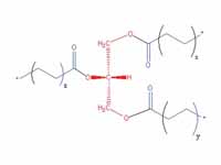 General structure of a triglyceride