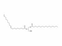 Diglyceride structure