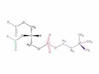 Structural formula of phosphatidyl ch...