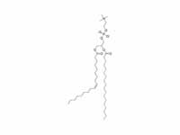 Phosphatidyl choline structure