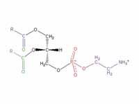 Structural formula of phosphatidyl et...