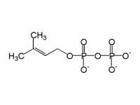 Chemical structure of dimethylallyl d...