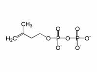 Chemical structure of isopentenyl dip...