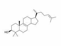 Steroid skeleton of lanosterol. The t...