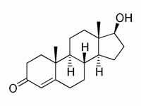 Testosterone structure