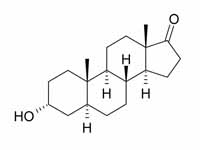 Androsterone structure