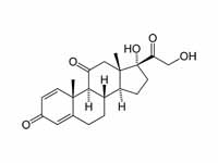 Prednisone structure