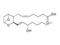 Thromboxane A2