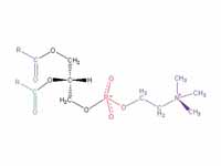 Structural formula of phosphatidyl ch...