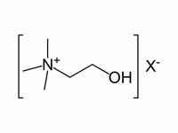 Choline structure