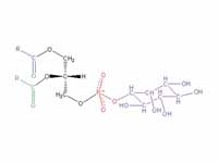 Structural formula of phosphatidyl in...