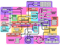 Major metabolic pathways