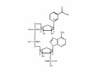 Nicotinamide adenine dinucleotide pho...