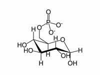 Glucose 6-phosphate