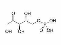 Ribulose 5-phosphate