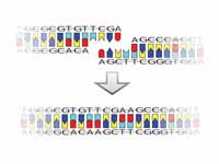 A pictorial example of how a ligase w...