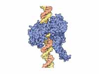 Topoisomerase I solves the problem ca...