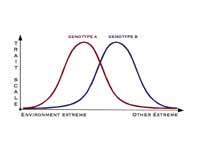 Different peaks in Gaussian distribut...