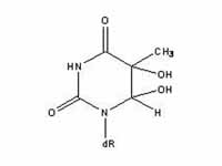 Thymine glycol