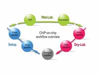 Workflow overview of a ChIP-on-chip e...