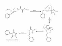 Mechanism of Edman degradation