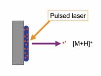 Matrix-assisted laser desorption ioni...