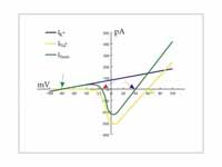 A plot of current (ion flux) against ...