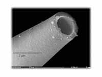Scanning electron microscope image of...