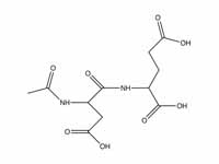 N-Acetylaspartylglutamate (NAAG)