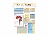 Cerebrospinal fluid (CSF) at glance.