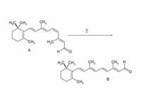 Retinal molecule - straightens in res...