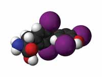 Thyroxine - 3D
