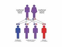 Sickle-cell disease is inherited in t...