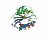 Von Willebrand factor