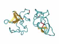 1PMK Plasminogen Kringle 4